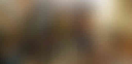 Photo de groupe en coompagnie du Prince de Ferthroy, l'Ambassadeur de la RPD, le Gouverneur de Ferthroy sur Orgeval, et deux représentant du Ministère des Affaires Etrangères