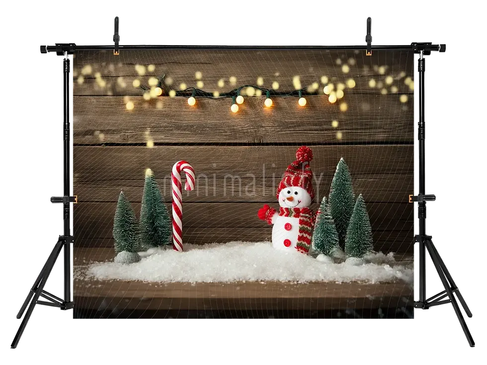 Miniaturbild: Wintermärchen-Schneekugel-Hintergrund – Studio-Hintergrund