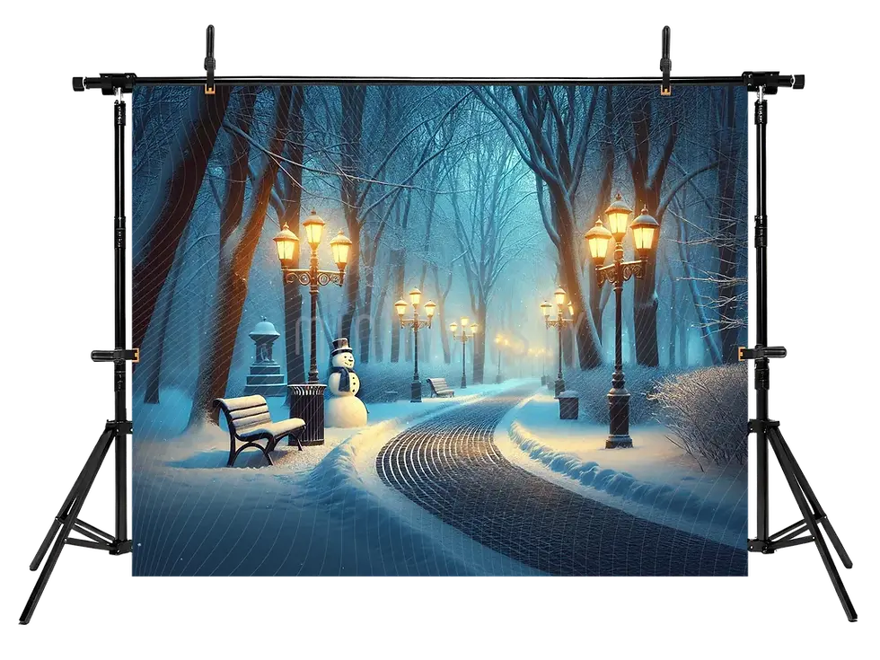 Miniature : Parc d'hiver romantique et lumières - Toile de fond pour studio