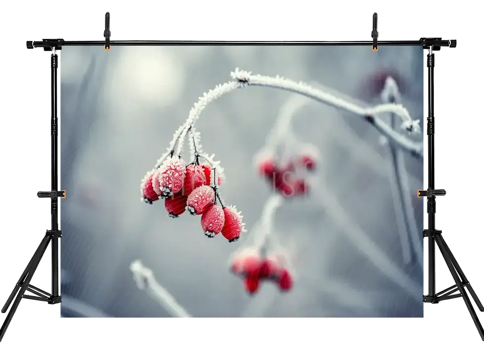 Miniatura: Cenário encantador coberto com frutas vermelhas congeladas: cenário de estúdio