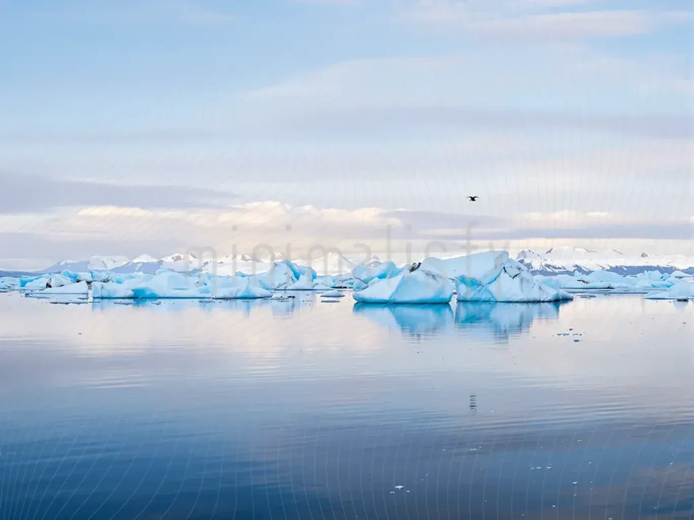 Der Tanz der Eisberge und ein ruhiges Meer: Hintergrund, Studiokulisse
