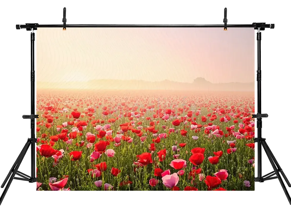 Miniaturebillede: Blomsterhavebaggrund fuld af farver, studiebaggrund