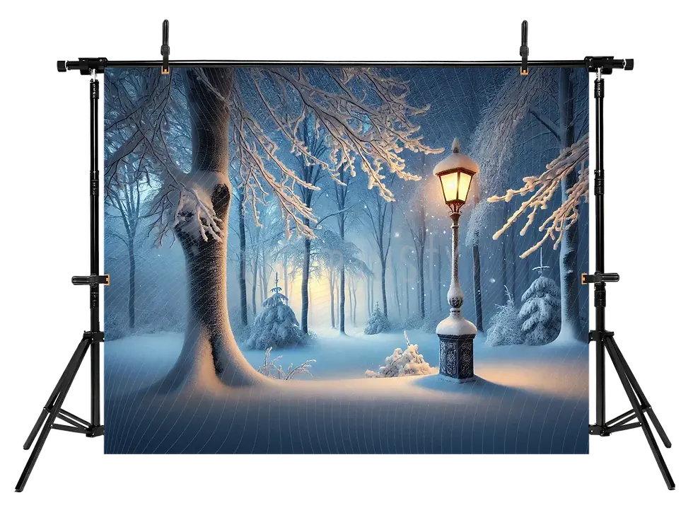 Miniaturebillede: Vinterlys: Snescene baggrund Studio baggrund med gadelamper