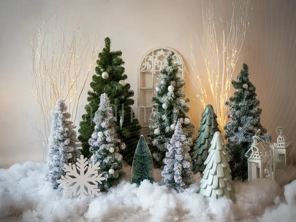 Vinterhavebaggrund: Snefyr og lys - Studio-baggrund