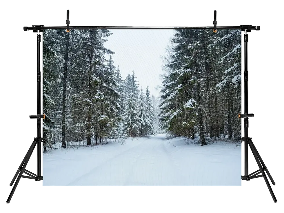الصورة المصغرة: خلفية "الصمت في غابة الشتاء" - خلفية الاستوديو