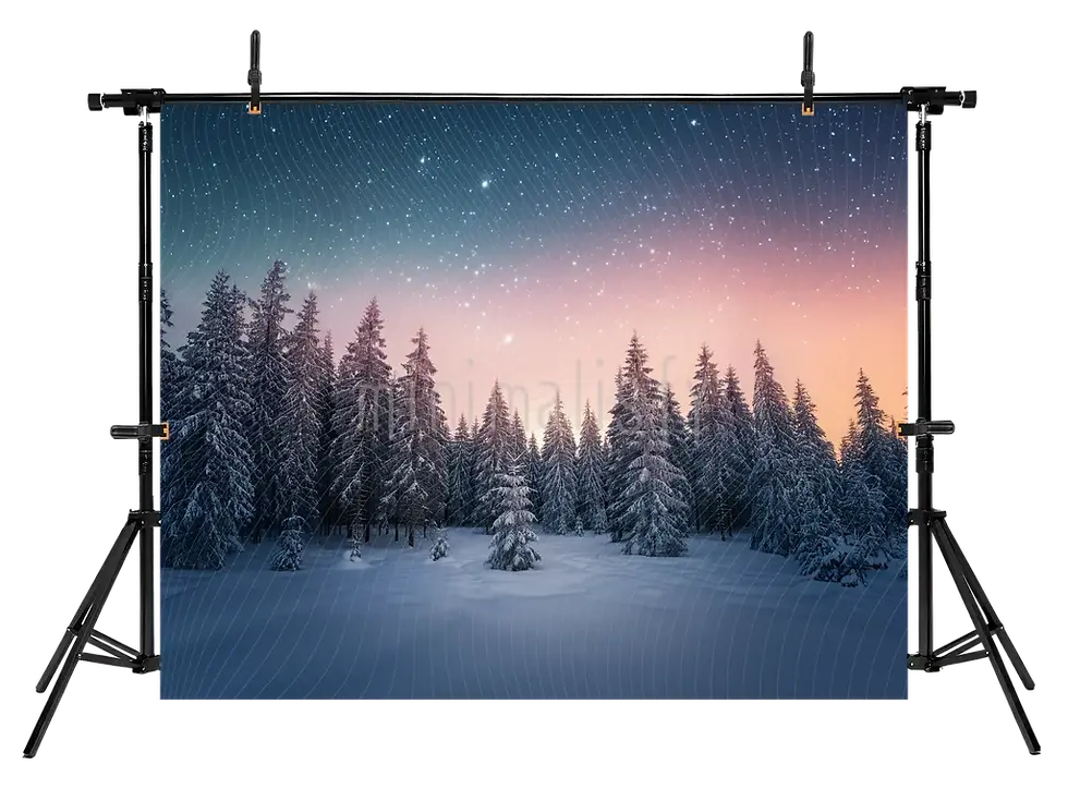 Thumbnail: Snow Covered Forest Background Studio Backdrop Under Starry Sky