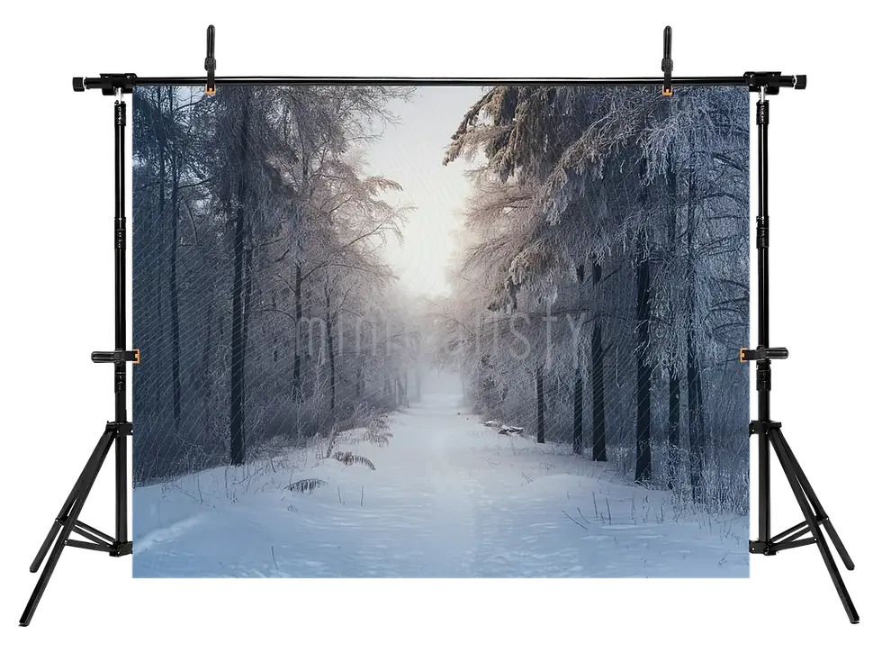 Indexkép: Huzurlu Kış Ormanı Yolu Arka Planı  Stüdyo Fonu