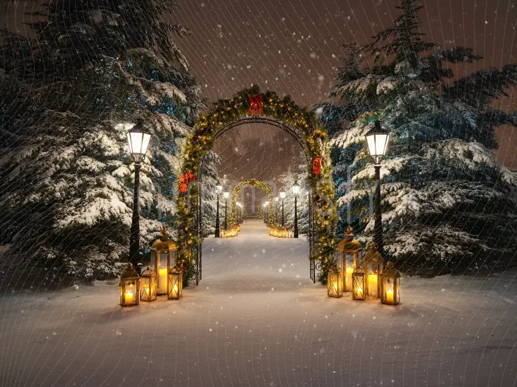 Romantisk vintervej-tema baggrund - studiebagtæppe