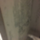 MOLD REMEDIATION