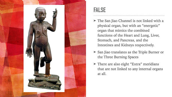 False: Chinese medicine created an energetic organ, also the 8 extra meridians are not paired