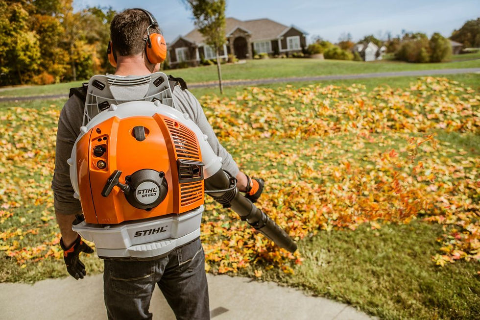 Thumbnail: BR 600 Gasoline Backpack Blower