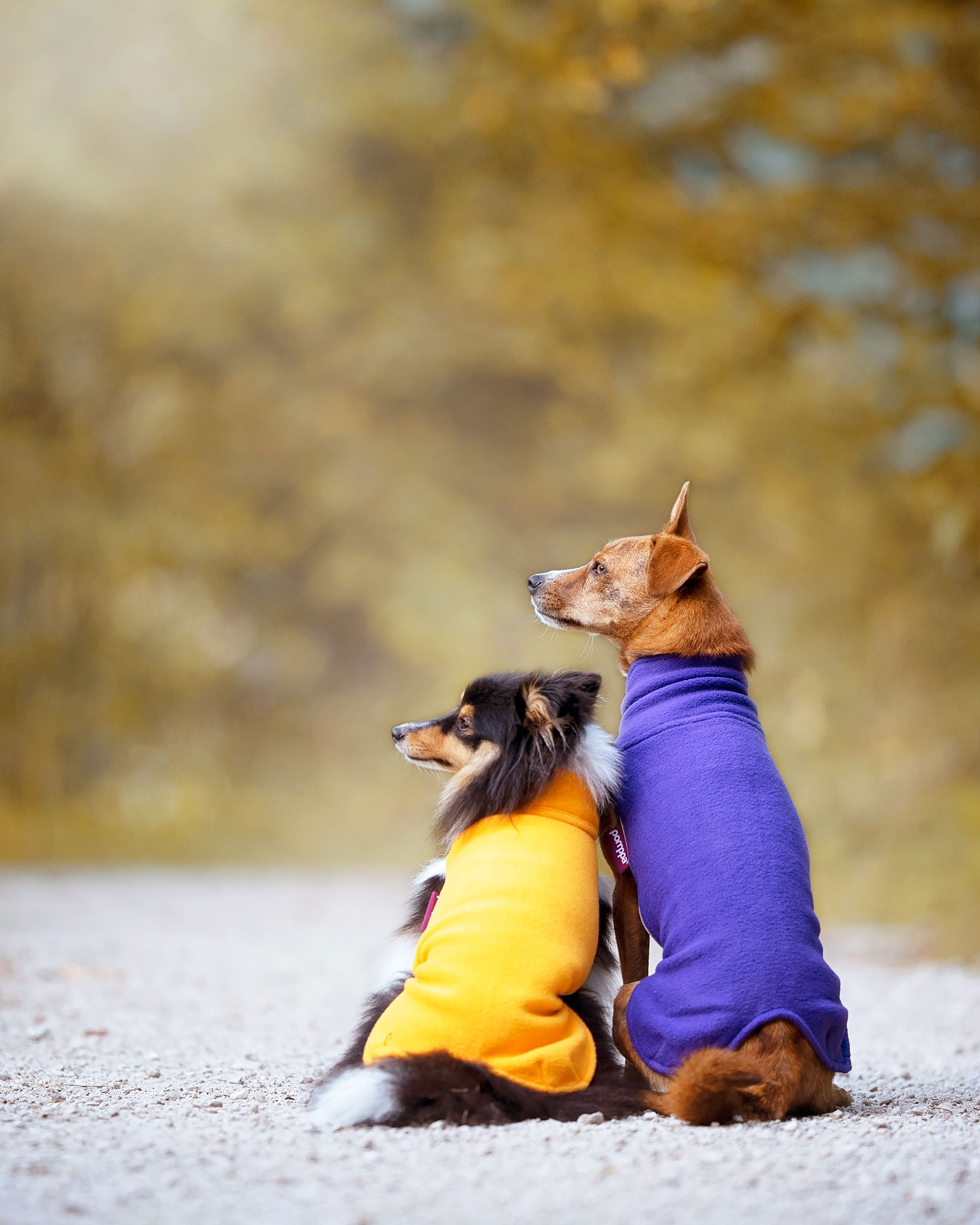 Fleecepullover POMPPA Jumppa