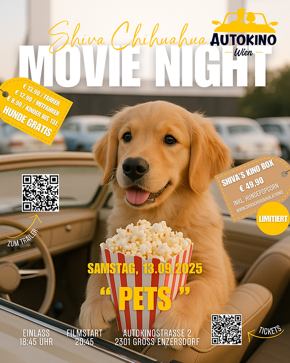 Movie Night.png