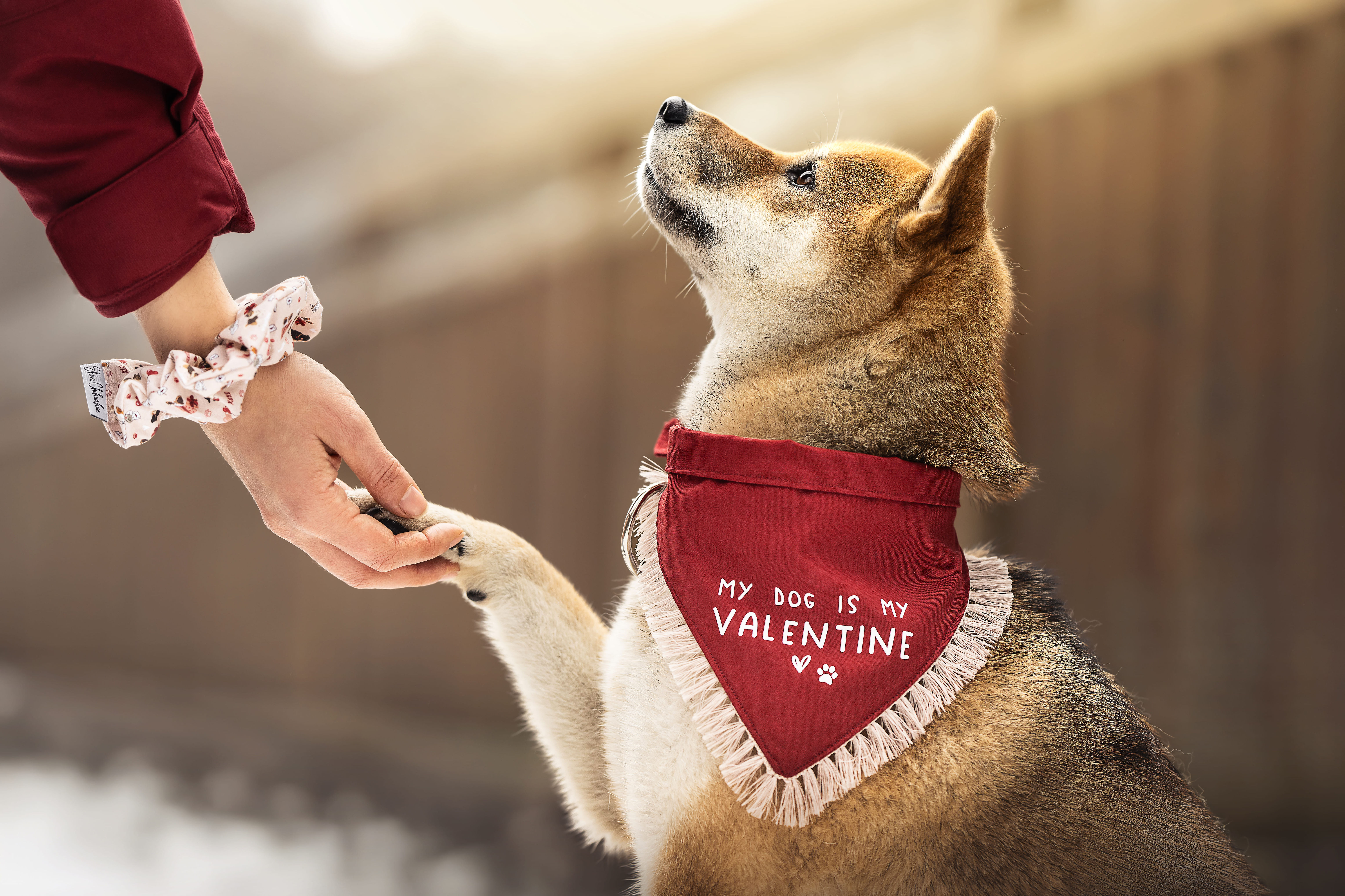Bandana - My Dog is my Valentine