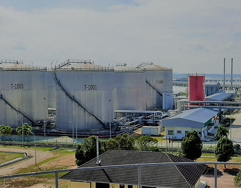 20210319_095656 (3).jpg