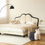 Thumbnail: Leather Bed BUTTERFLY