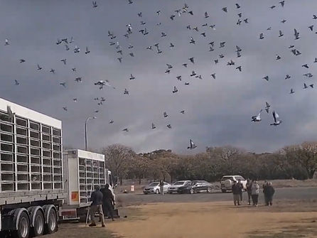 3rd Grenfell 12th July 2025