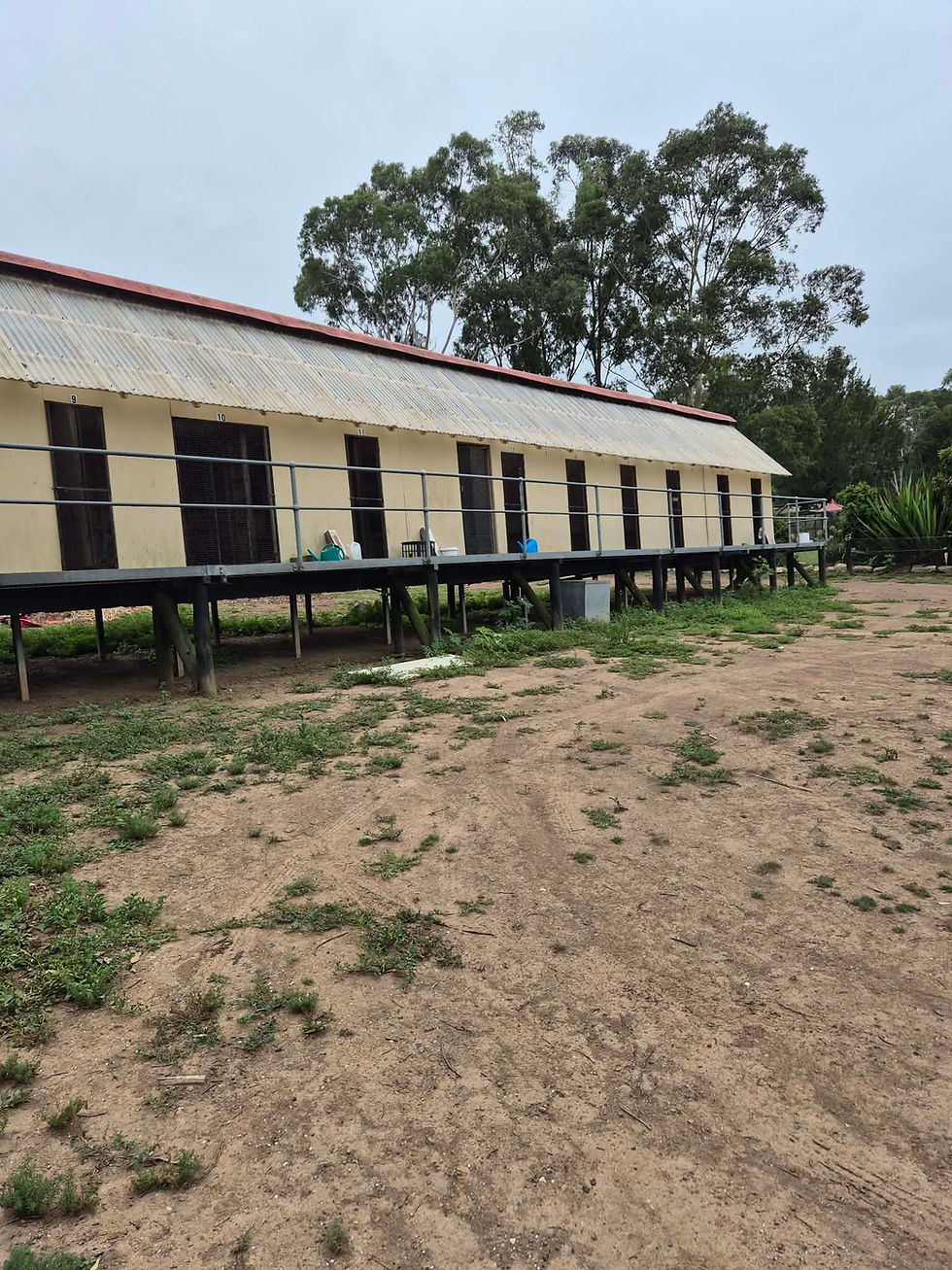 Kevin Waters Open Day Sale