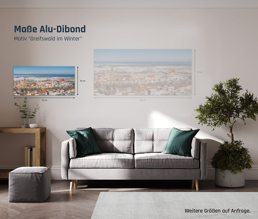 Miniaturbild: Alu-Dibond Panorama quer I Greifswald im Winter