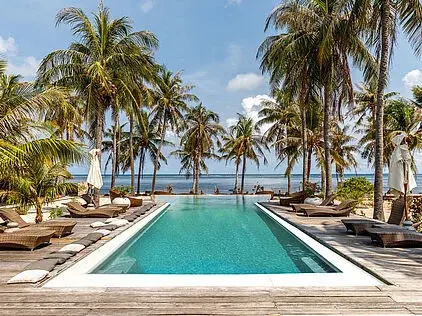 Miniature : Tropical