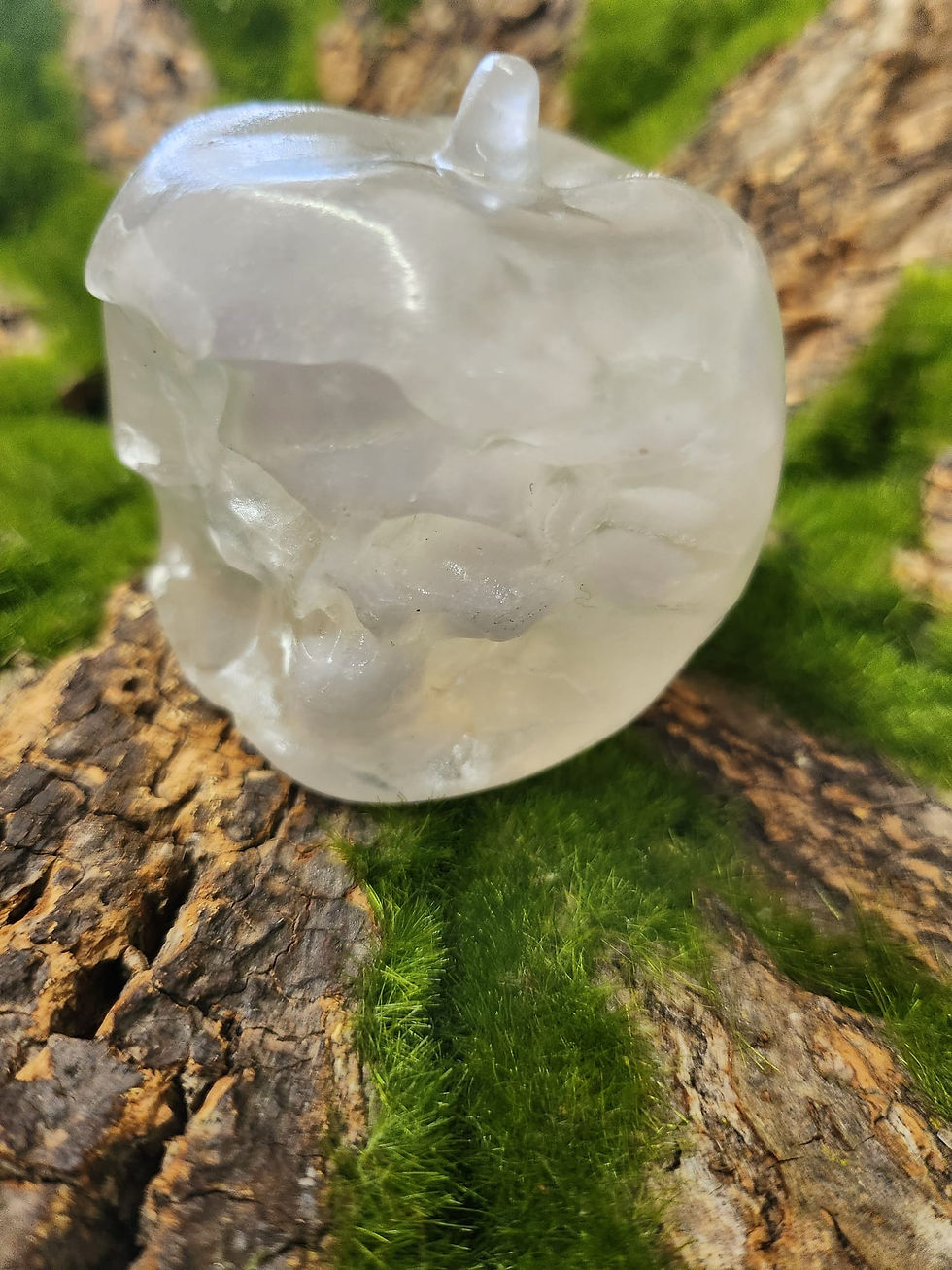 Flower Agate Skull in apple