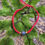 Thumbnail: Crystal Red Protection Bracelet