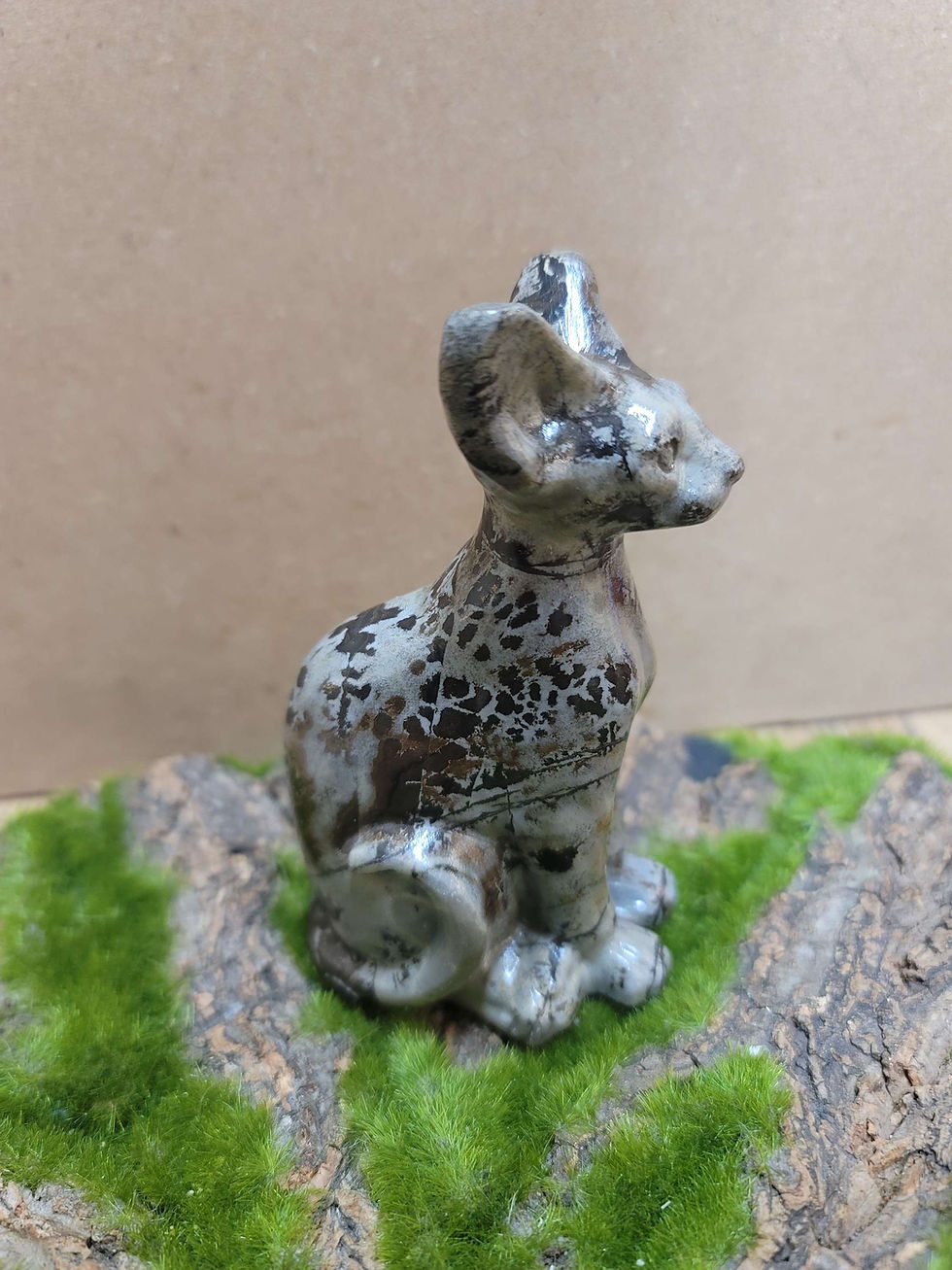 Miniature : Picasso Jasper Sphinx cat