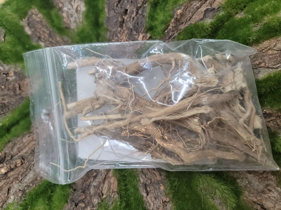 Thumbnail: Apothecary Herbs