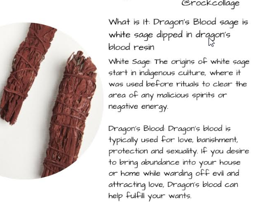 Blood Is Life — The Amazing Dragon’s Blood Tree • The Revelator