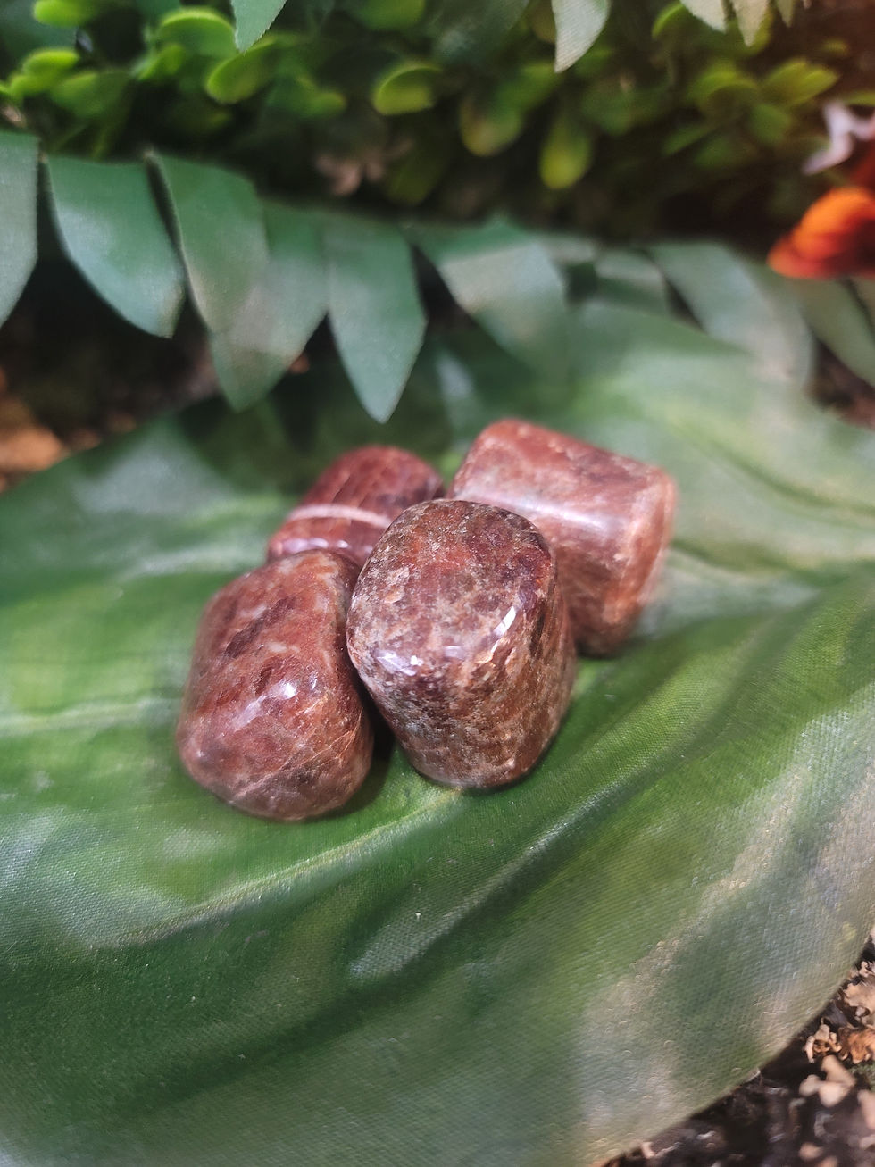 Miniature : Hessonite Garnet (Tumbled)