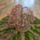 Miniatura: Strawberry Quartz Willow Tree
