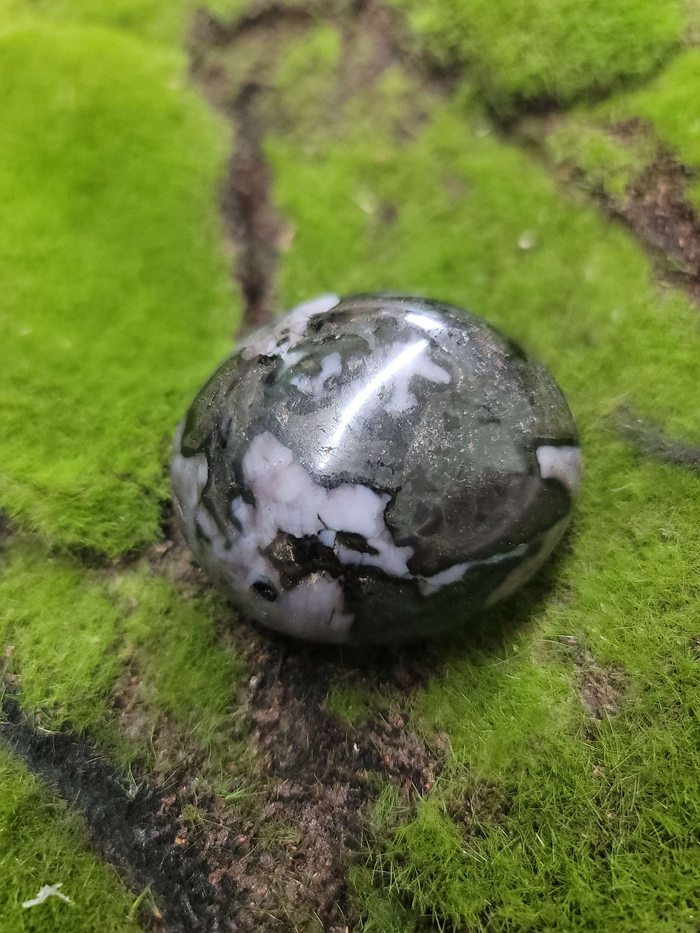 Indigo Gabro  Merlinite Palm Stone
