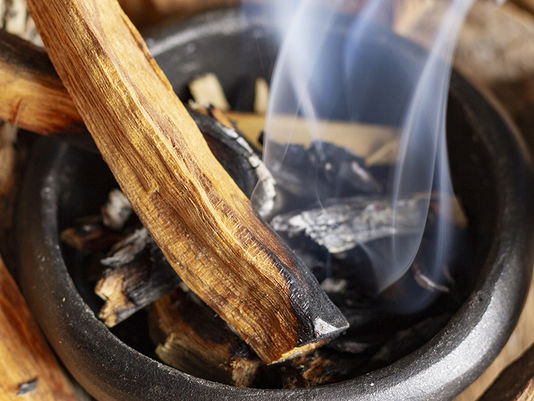 11 things you Didn't know about Palo Santo
