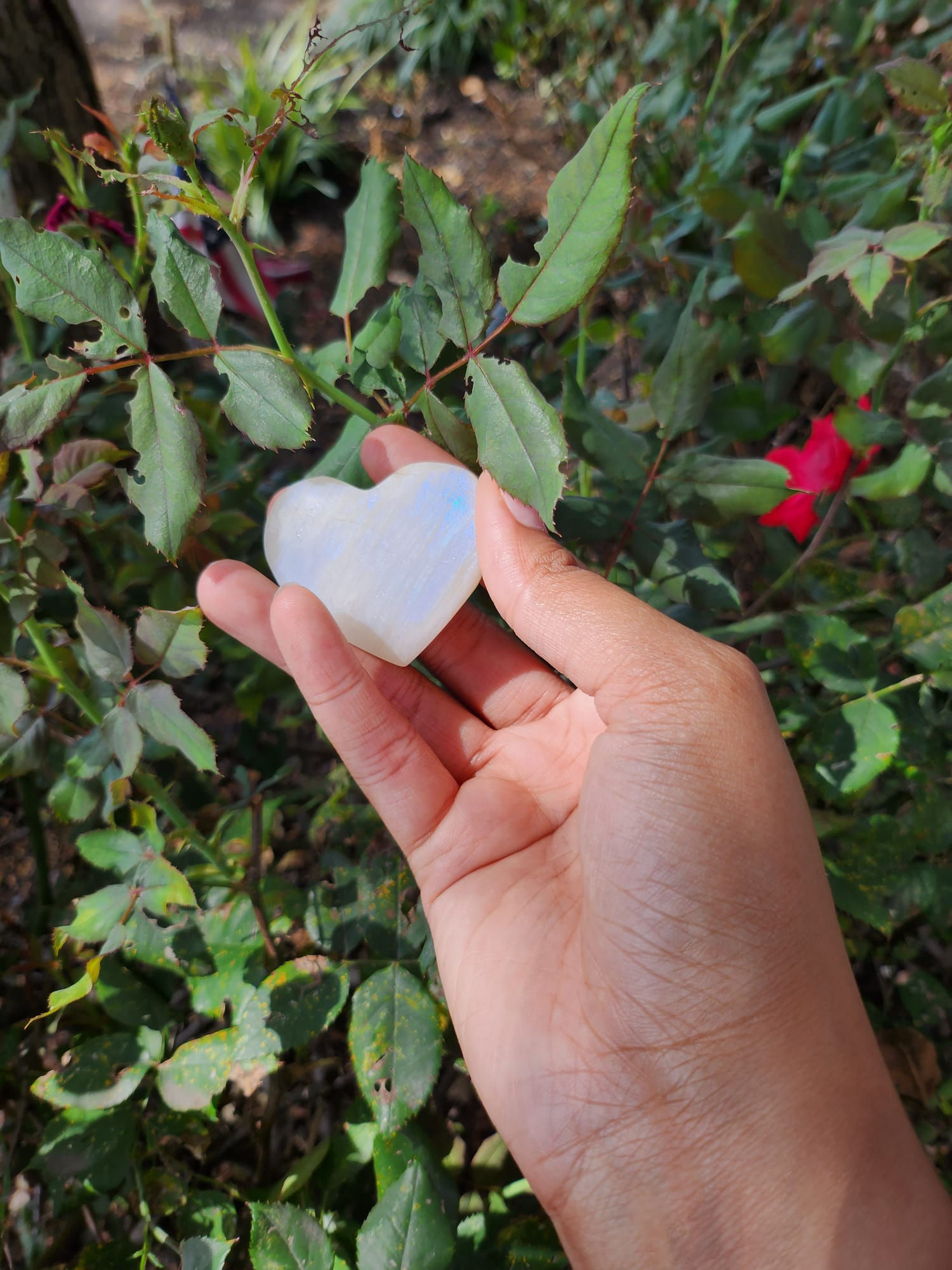 Moonstone Heart