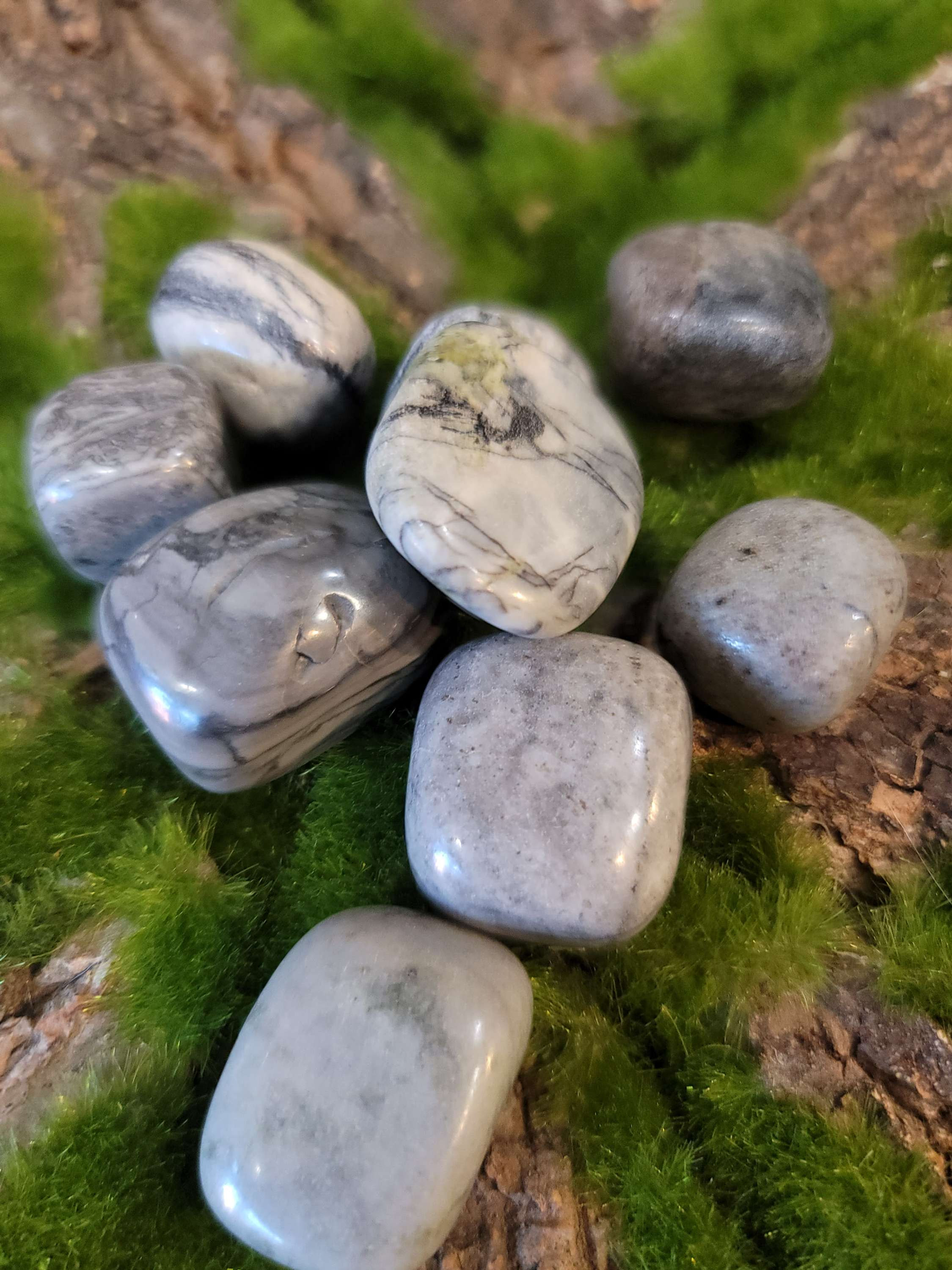 Spiderweb Jasper (tumbled)