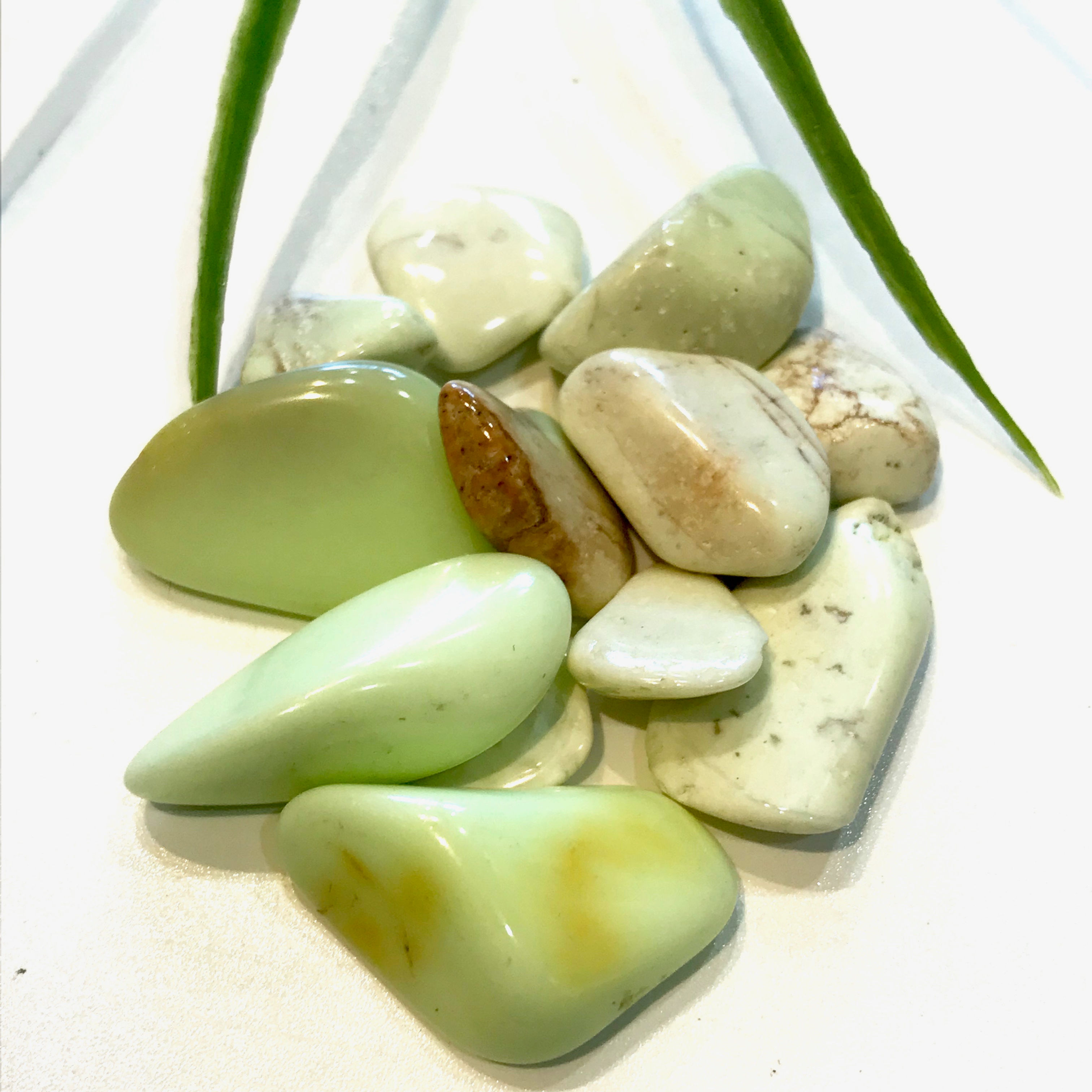 Citron Chrysoprase Tumbled