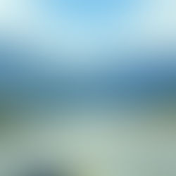 Abre Camino: The Road-Opening Herb That Clears What's Blocking You