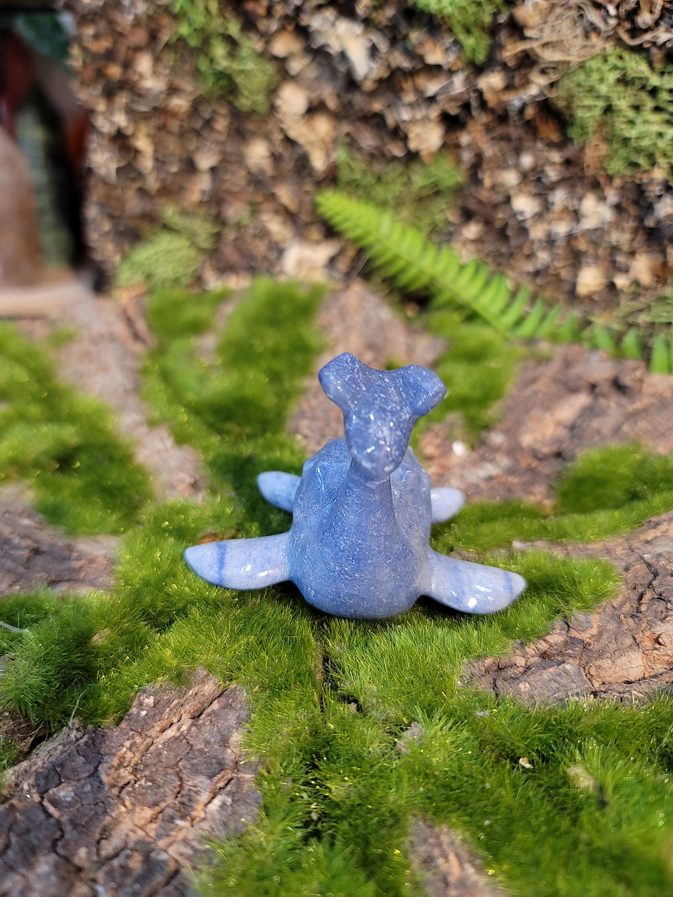 Miniatura: Lapris (Pokemon)
