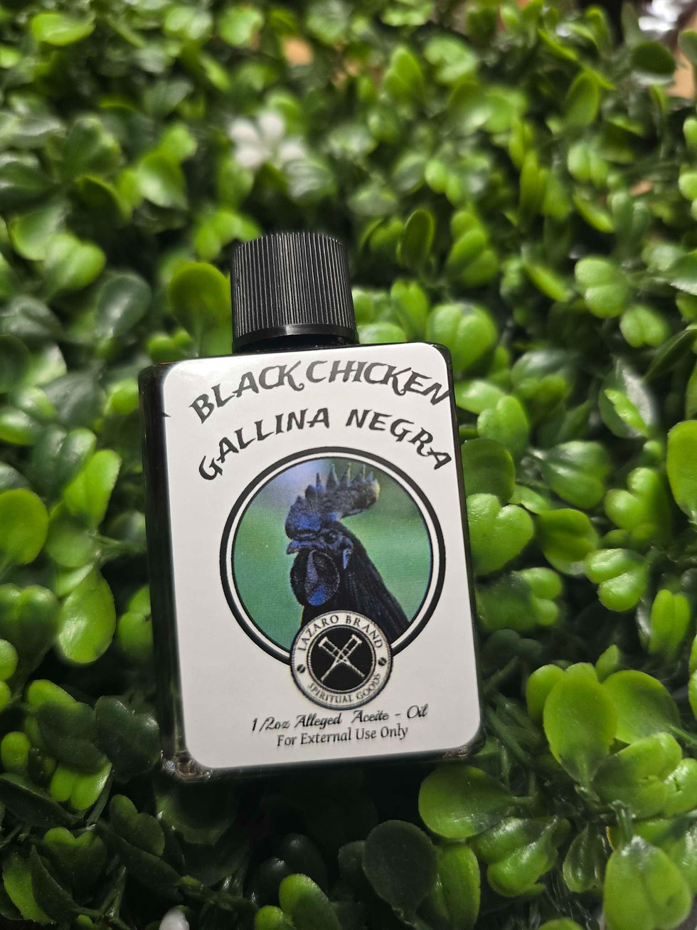Black Chicken Oil
