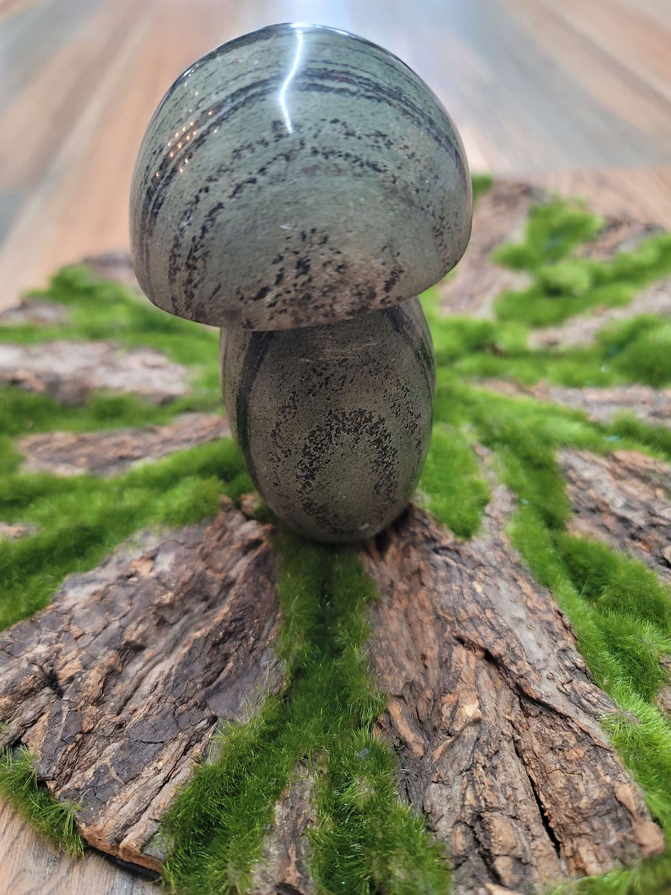 Kambaba Mushroom