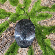 Astrophyllite Palm Stone