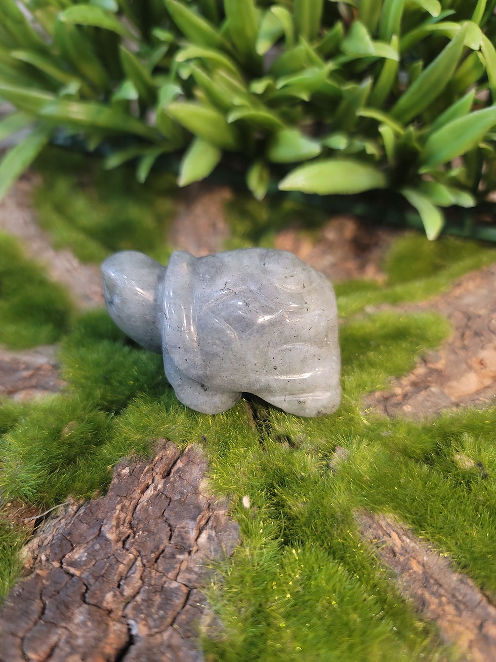 Labradorite Turtle