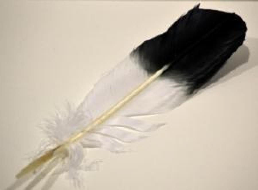 Smudging Eagle Feather