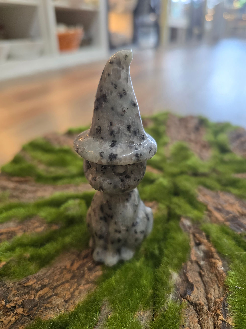 Miniatura: Witch Hat Cat