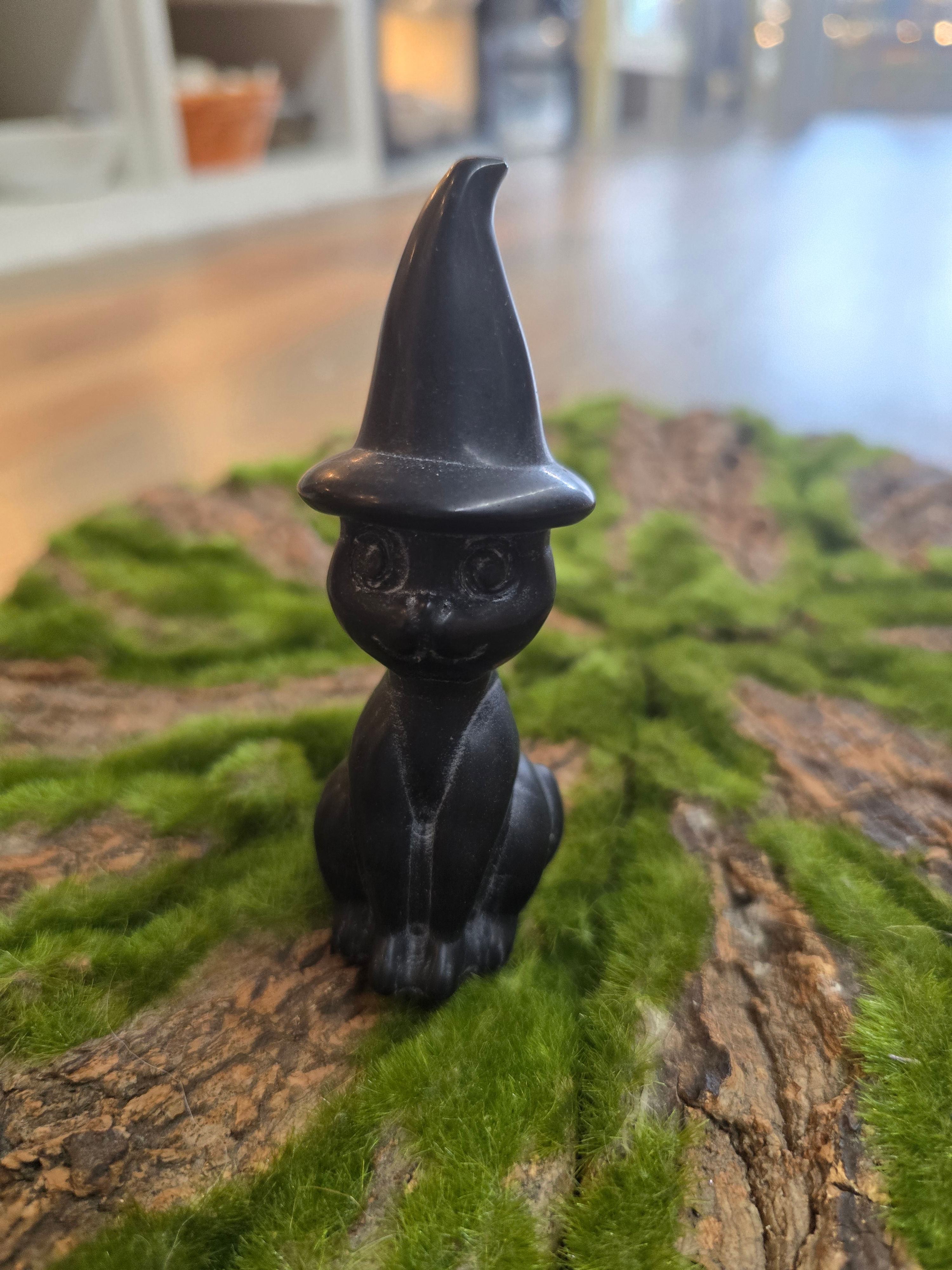 Witch Hat Cat