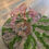 Miniatura: Strawberry Quartz Willow Tree
