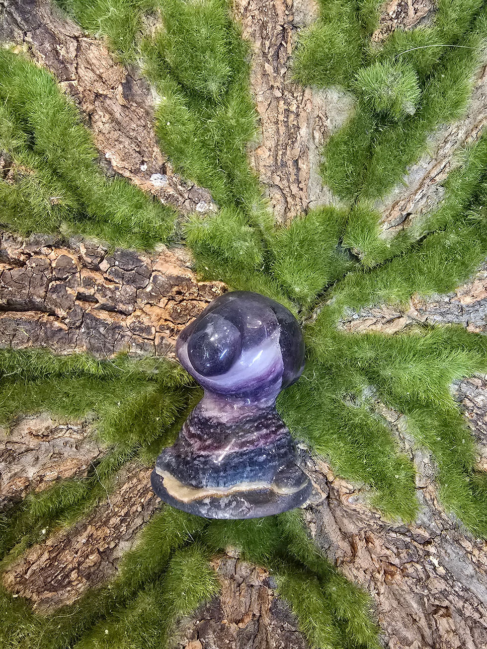 Miniatura: Fluorite Dog