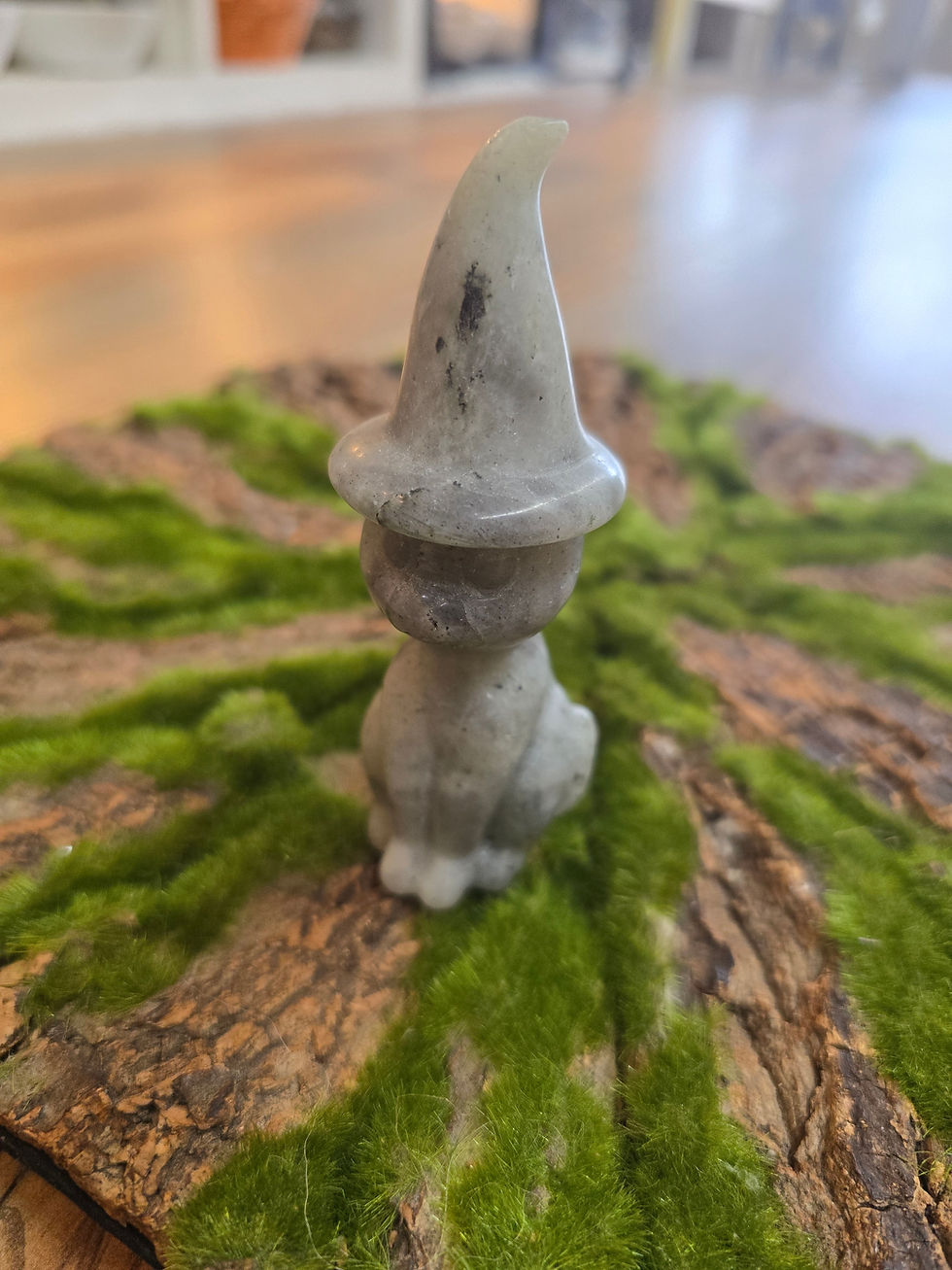 Miniatura: Witch Hat Cat