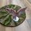 Miniatura: Flower Agate Butterfly 