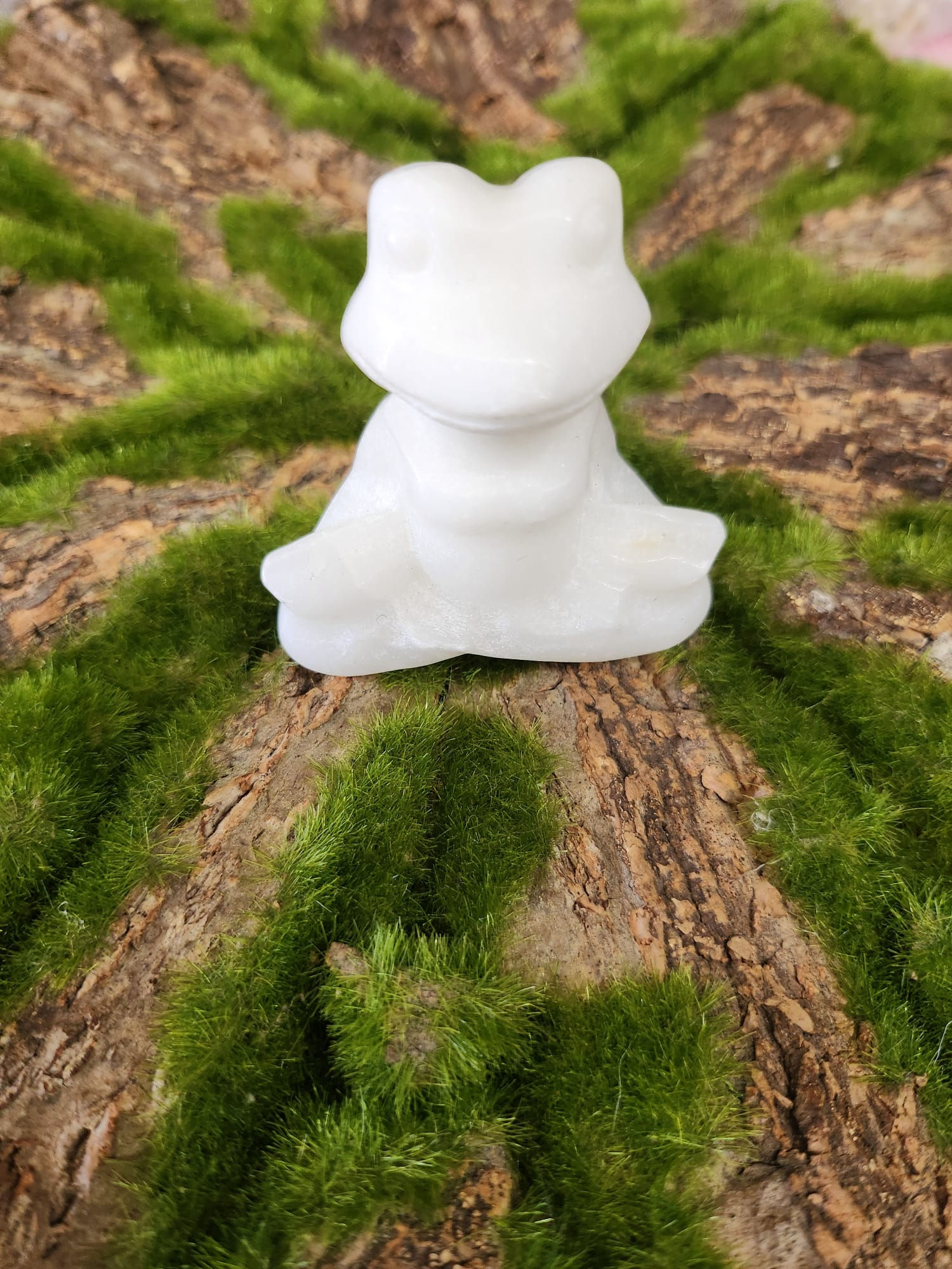 Meditating Frog Carving Sale